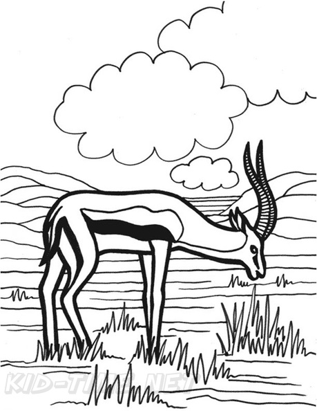 antelope-coloring-pages-017.jpg