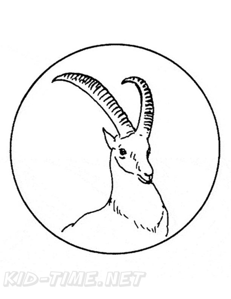 antelope-coloring-pages-018.jpg
