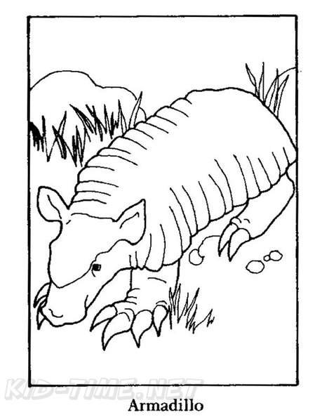 armadillo-coloring-pages-007.jpg