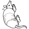 armadillo-coloring-pages-011.jpg