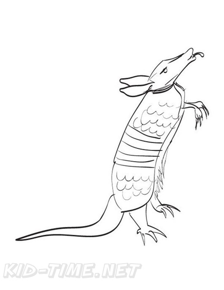 armadillo-coloring-pages-021.jpg