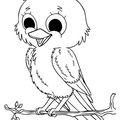 baby-animals-coloring-pages-015.jpg