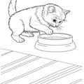 baby-animals-coloring-pages-035.jpg