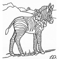 baby-animals-coloring-pages-040.jpg