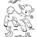baby-animals-coloring-pages-078.jpg