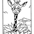 baby-animals-coloring-pages-099.jpg