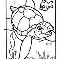 baby-animals-coloring-pages-103.jpg