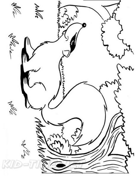 badger-coloring-pages-010.jpg