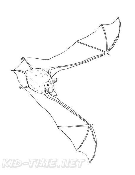 bat-coloring-pages-064.jpg