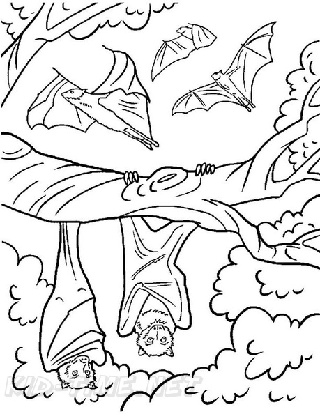 bats-coloring-pages-068.jpg