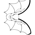 Bats Coloring Book Page