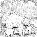 Black_Bear_Mother_and_Cubs_Coloring_Pages_028.jpg