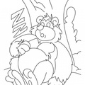 cute-bear-coloring-pages-153.jpg