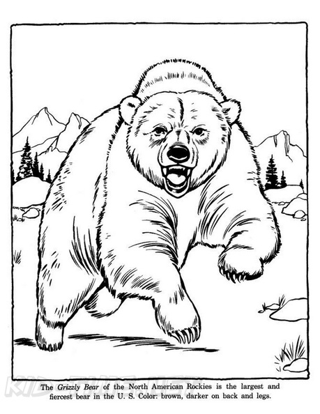 grizzly-bear-coloring-pages-004.jpg