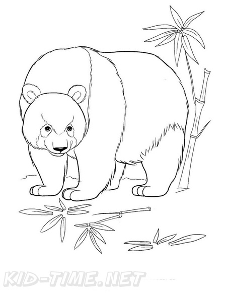 grizzly-bear-coloring-pages-005.jpg