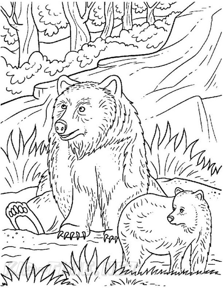 grizzly-bear-coloring-pages-042.jpg