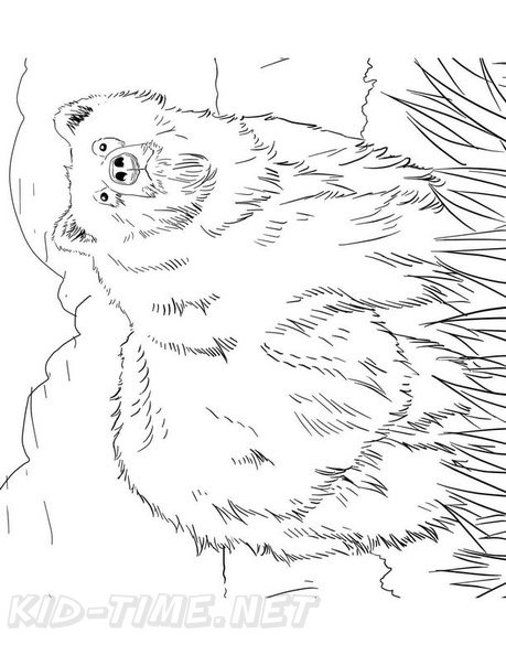 grizzly-bear-coloring-pages-071.jpg