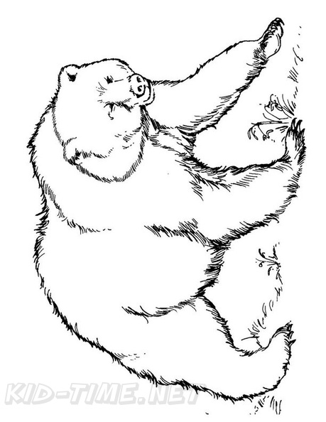 grizzly-bear-coloring-pages-073.jpg