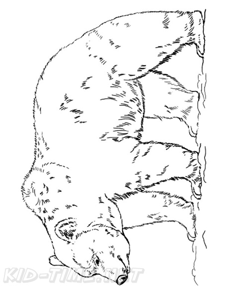 grizzly-bear-coloring-pages-078.jpg