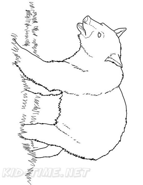 grizzly-bear-coloring-pages-080.jpg