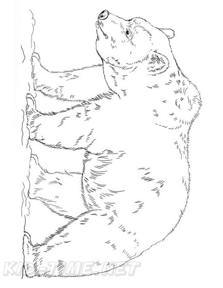 grizzly-bear-coloring-pages-094.jpg