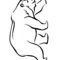 Kermode Bear Coloring Book Page