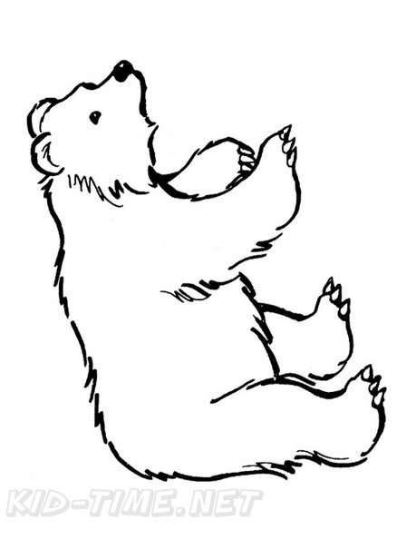 Kermode_Bear_Coloring_Pages_2004.jpg