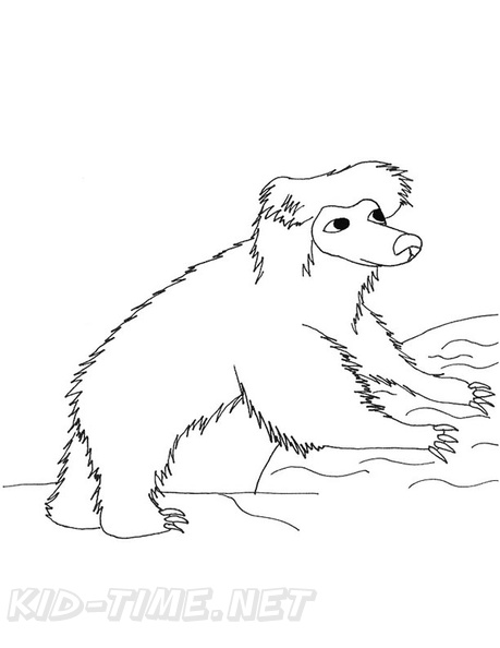 Sloth_Bear_Coloring_Pages_2002.jpg