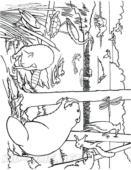 beaver-coloring-pages-006.jpg