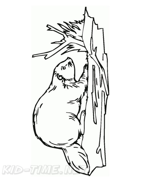 beaver-coloring-pages-009.jpg