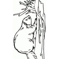beaver-coloring-pages-009.jpg