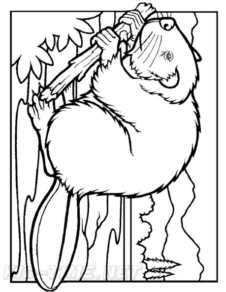 beaver-coloring-pages-014.jpg