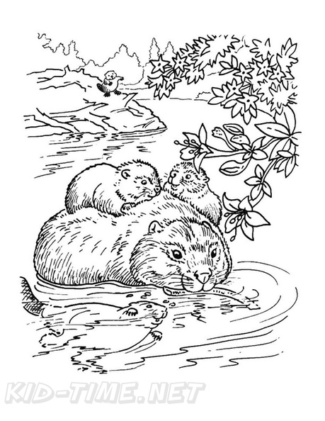 beaver-coloring-pages-016.jpg
