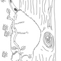 beaver-coloring-pages-033.jpg