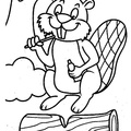 beaver-coloring-pages-046.jpg