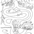beaver-coloring-pages-049.jpg