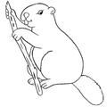 beaver-coloring-pages-052.jpg