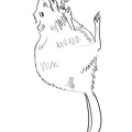 beaver-coloring-pages-055.jpg