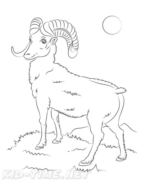 bighorn-sheep-ram-coloring-pages-008.jpg