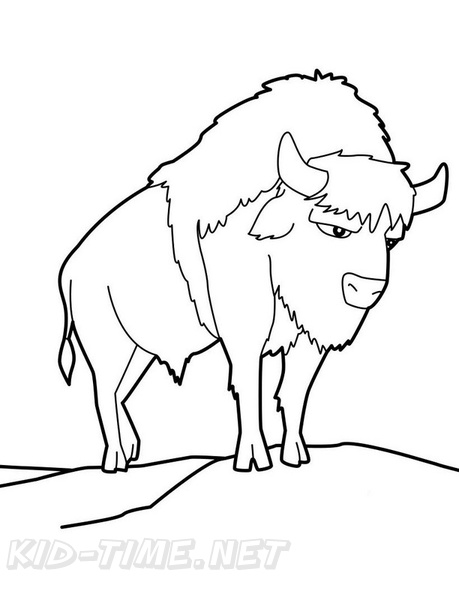 bison-coloring-pages-002.jpg