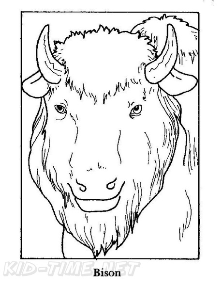 bison-coloring-pages-003.jpg
