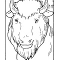 bison-coloring-pages-003.jpg