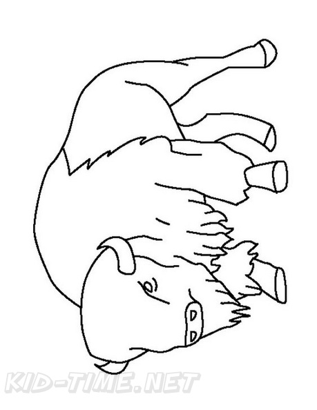 bison-coloring-pages-005.jpg