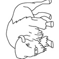 bison-coloring-pages-005.jpg