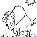 bison-coloring-pages-006.jpg