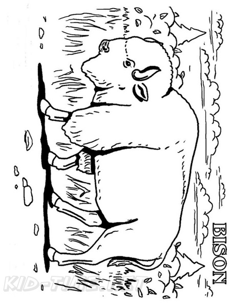 bison-coloring-pages-010.jpg