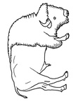 Bison Coloring Book Page