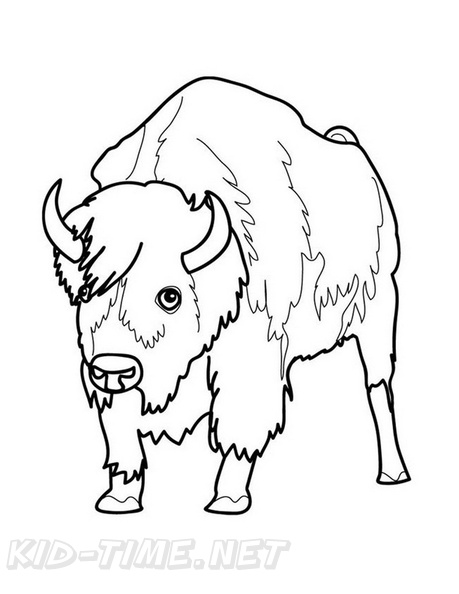 bison-coloring-pages-014.jpg