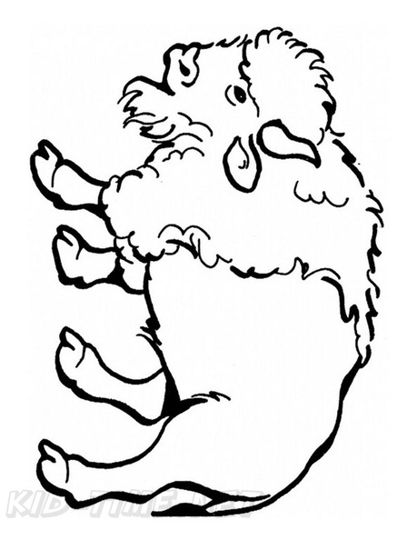 bison-coloring-pages-016.jpg