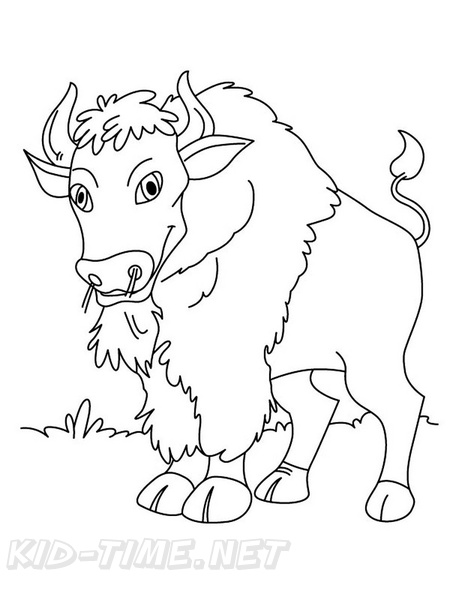 bison-coloring-pages-018.jpg